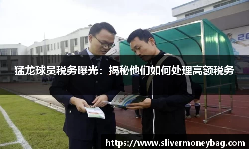 完美体育365平台官网